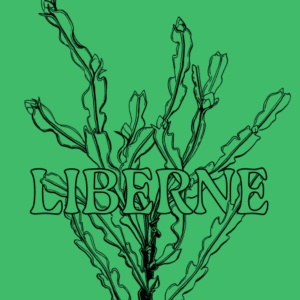 Liberne &ndash; hist&oacute;rias dos montes baldios