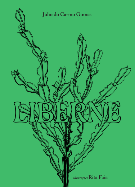Liberne – histórias dos montes baldios