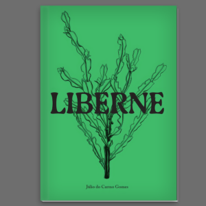 liberneliberne Liberne – histórias dos montes baldios