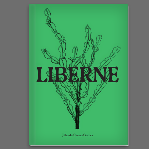 liberneliberne Liberne – histórias dos montes baldios